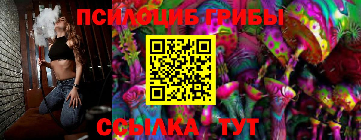 Вятские Поляны  Галлюциногенные грибы ЛСД  Вход с VPN 